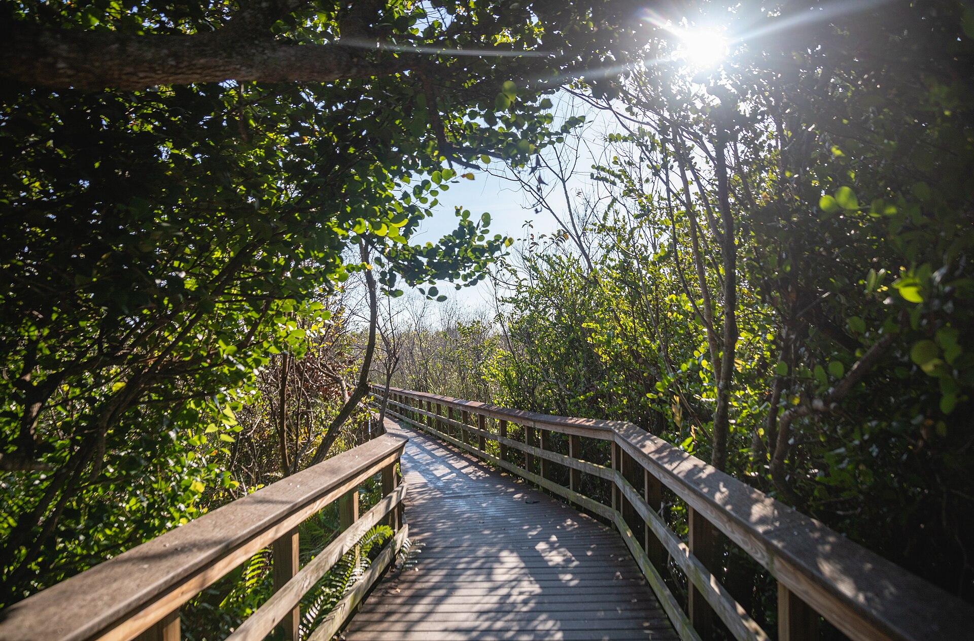 accessible trail boardwalk countryside
