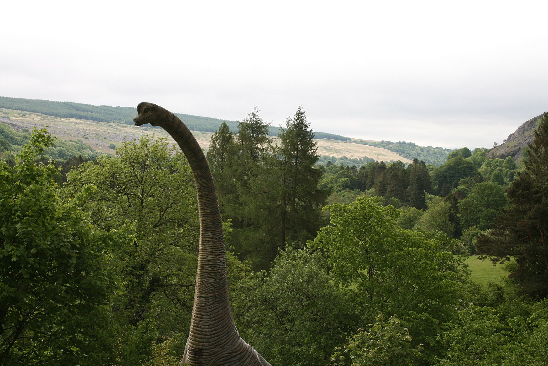 Dan yr Ogof cave formations