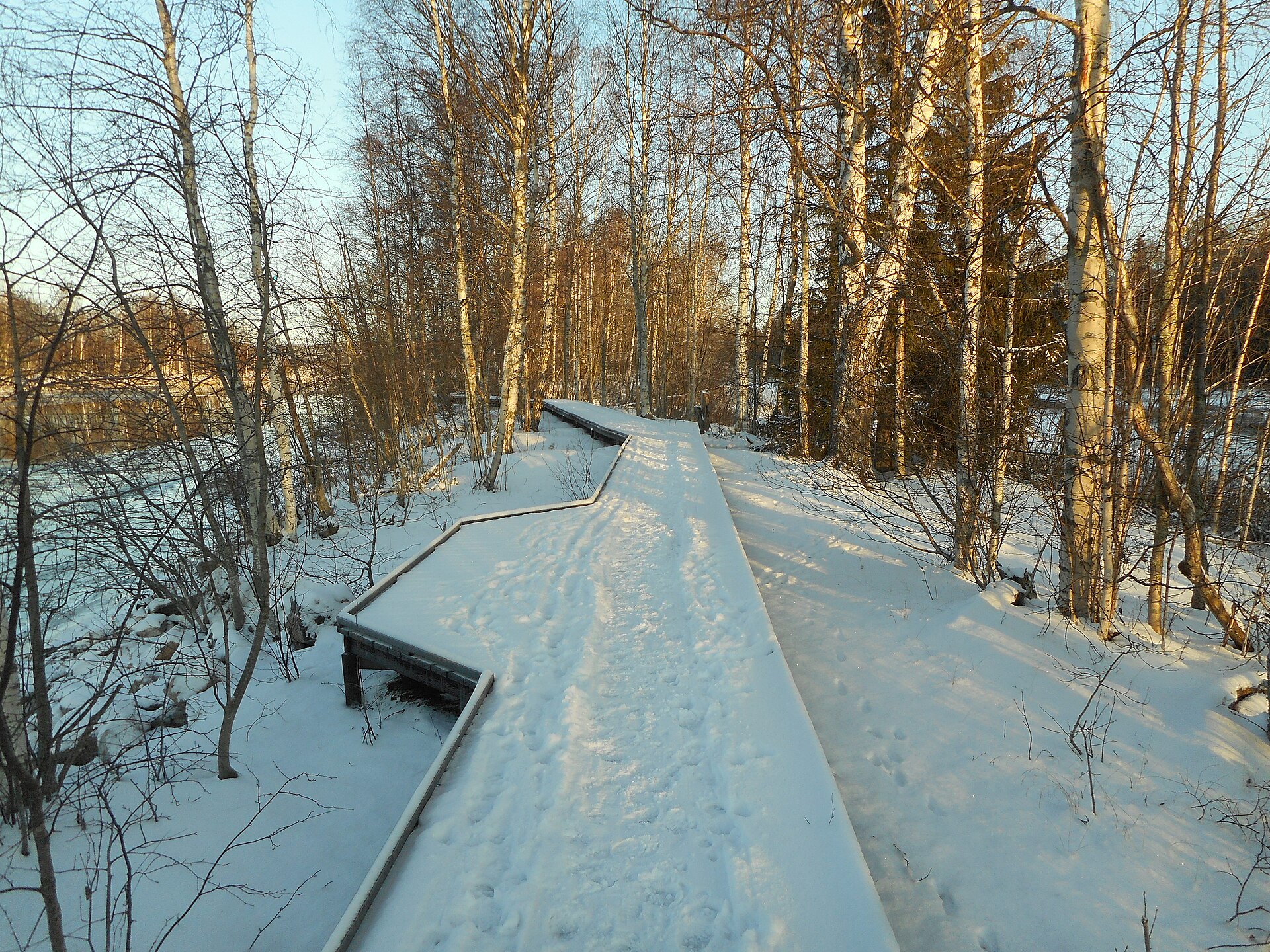 wheelchair accessible path nature