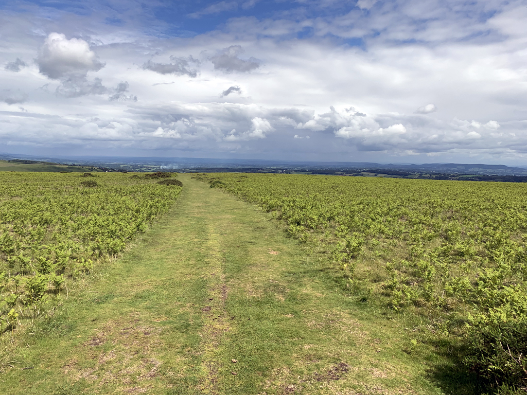 Offas Dyke path ridge walk
